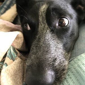 Meet your Posher, Denise